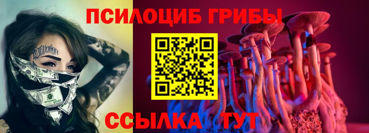 Галлюциногенные грибы GOLDEN TEACHER Тулун